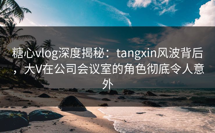 糖心vlog深度揭秘：tangxin风波背后，大V在公司会议室的角色彻底令人意外