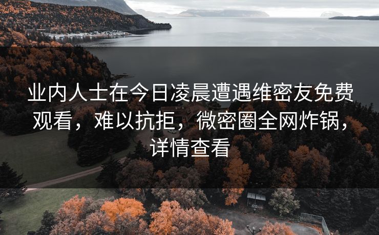 业内人士在今日凌晨遭遇维密友免费观看，难以抗拒，微密圈全网炸锅，详情查看